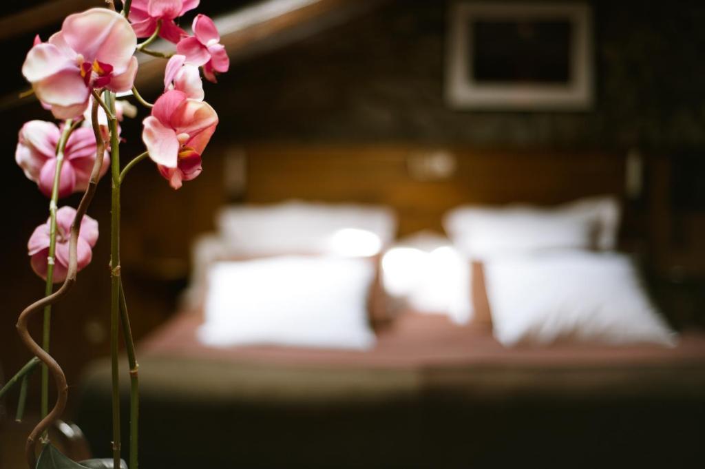 Hostal Cisco De Sans Андорра-ла-Велья Номер фото